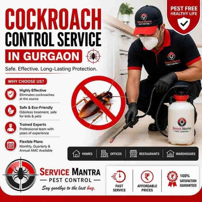 best-cockroach-control-service-in-gurgaon-safe-fast-big-0