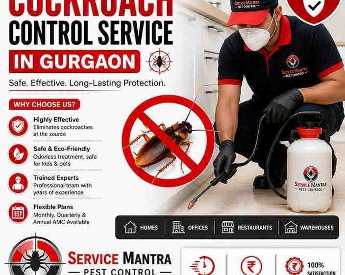 best-cockroach-control-service-in-gurgaon-safe-fast
