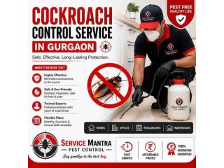 best-cockroach-control-service-in-gurgaon-safe-fast-small-0