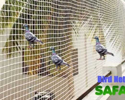 bird-netting-services-in-noida-safaiwale