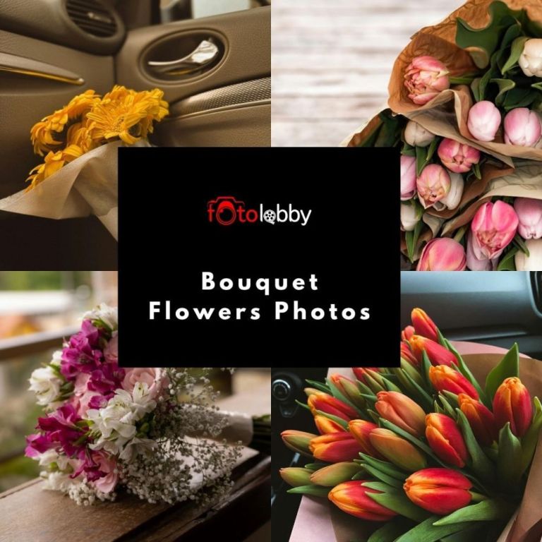 bouquet-flowers-photos-by-fotolobby-gurgaon-big-0