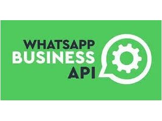 whatsapp-business-api-in-bhopal-small-0