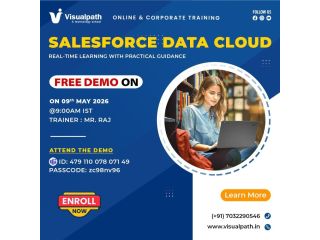 free-salesforce-data-cloud-live-demo-register-now-small-0