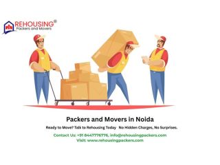 top-rated-packers-and-movers-in-noida-fast-safe-affordable-small-0
