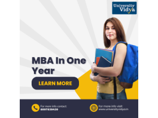 mba-in-one-year-the-smarter-way-for-working-professionals-small-0