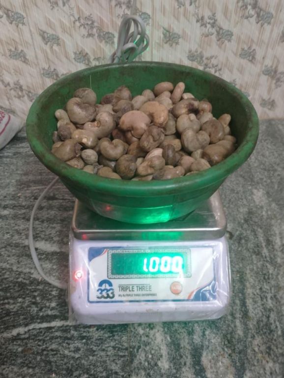 kanpur-ghaziabad-raw-cashew-nuts-wholesaler-in-uttar-pradesh-big-0