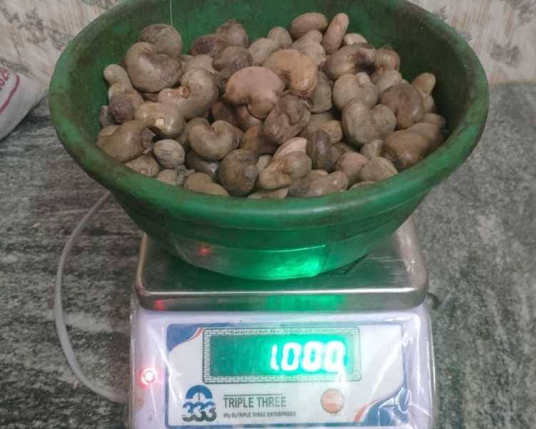 kanpur-ghaziabad-raw-cashew-nuts-wholesaler-in-uttar-pradesh