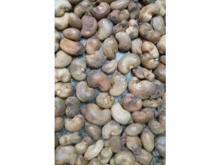 kanpur-ghaziabad-raw-cashew-nuts-wholesaler-in-uttar-pradesh-small-3