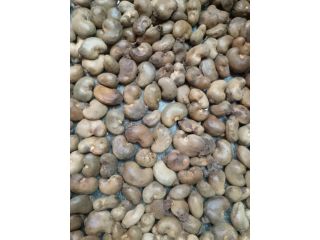 kanpur-ghaziabad-raw-cashew-nuts-wholesaler-in-uttar-pradesh-small-1