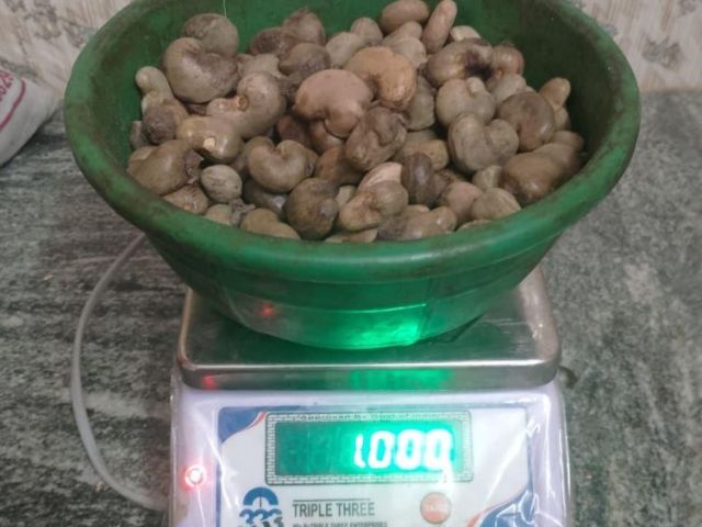 kanpur-ghaziabad-raw-cashew-nuts-wholesaler-in-uttar-pradesh