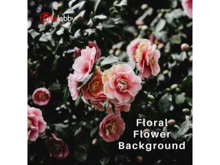 floral-flower-background-by-fotolobby-gurgaon-small-0