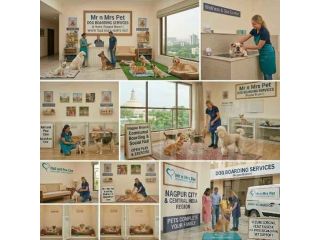 dog-boarding-services-in-nagpur-small-0