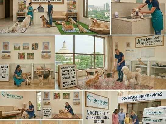 dog-boarding-services-in-nagpur