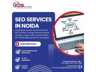 seo-services-in-noida-small-0