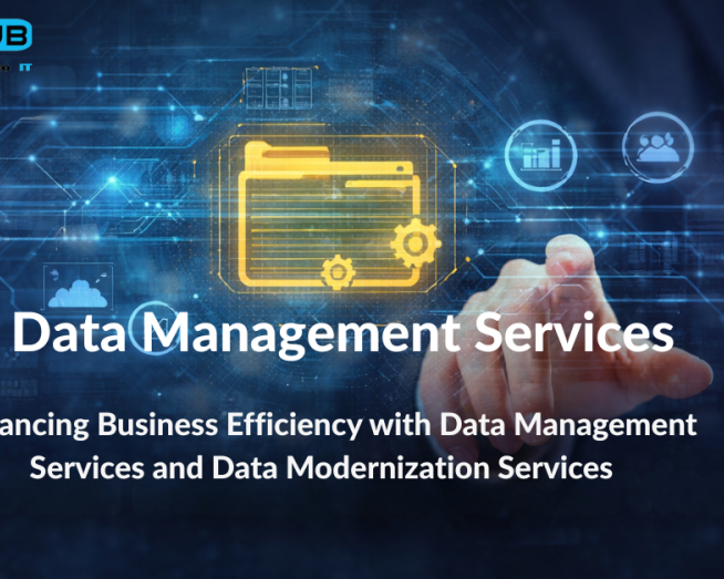 data-management-services-for-organized-business-data