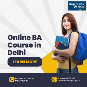 online-ba-course-in-delhi-quality-arts-education-big-0