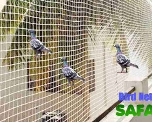 best-bird-netting-services-in-faridabad-near-you