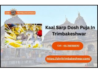 kaal-sarp-dosh-puja-in-trimbakeshwar-small-0