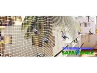 pigeon-problem-solution-in-ghaziabad-bird-netting-services-small-0