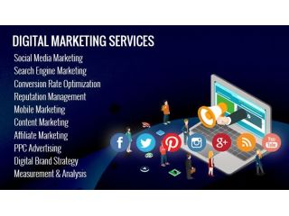 result-oriented-digital-marketing-agency-in-delhincr-small-0