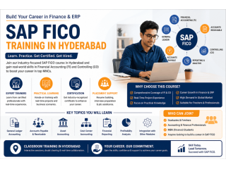 sap-fico-training-in-hyderabad-small-0
