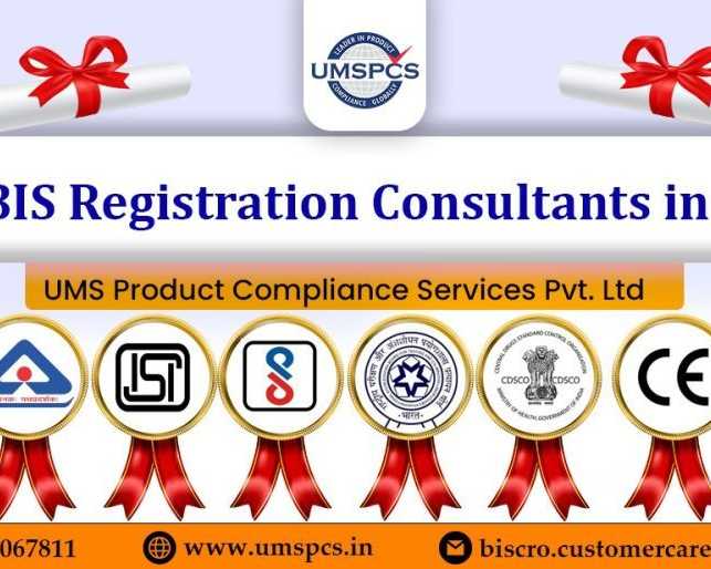 top-bis-consultants-india