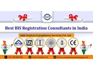 top-bis-consultants-india-small-0