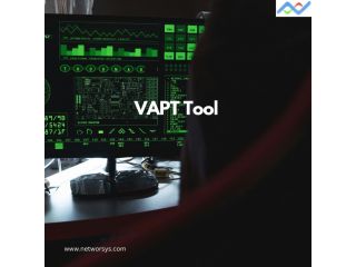 professional-vulnerability-assessment-services-small-0