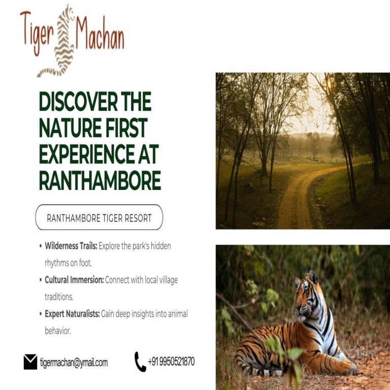 discover-the-nature-first-experience-at-ranthambore-big-0