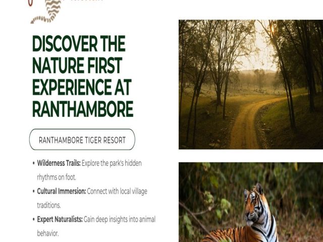 discover-the-nature-first-experience-at-ranthambore