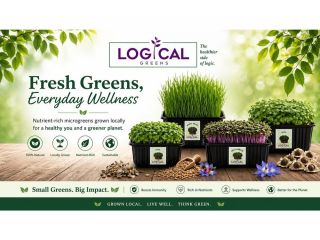 logical-greens-small-1