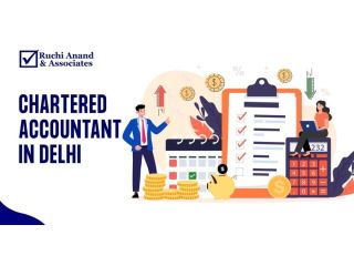 trusted-chartered-accountant-services-for-financial-compliance-small-0