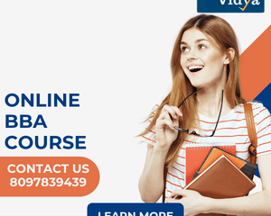 business-management-with-an-accredited-online-bba-course