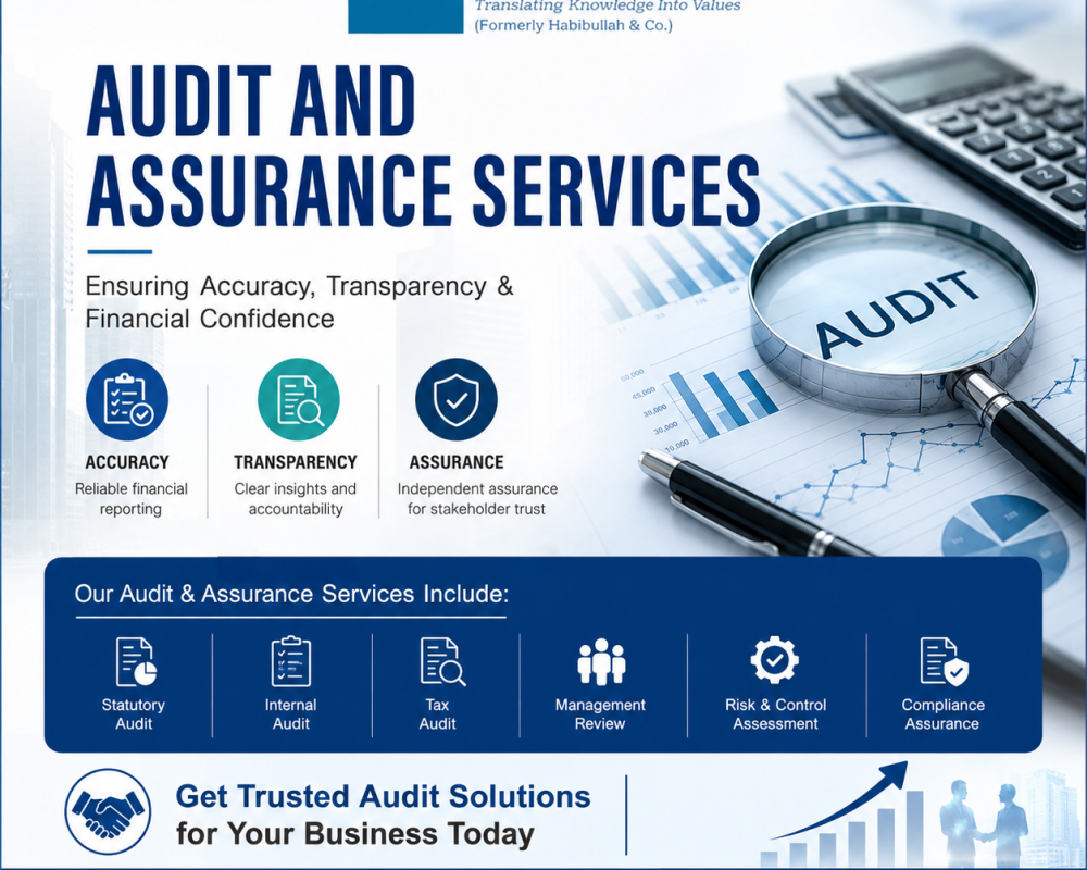 want-audit-and-assurance-services-for-financial-accuracy