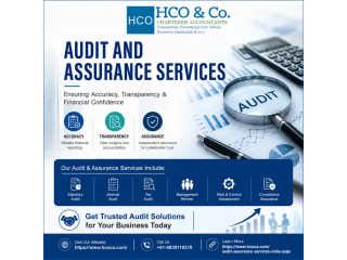 want-audit-and-assurance-services-for-financial-accuracy-small-0