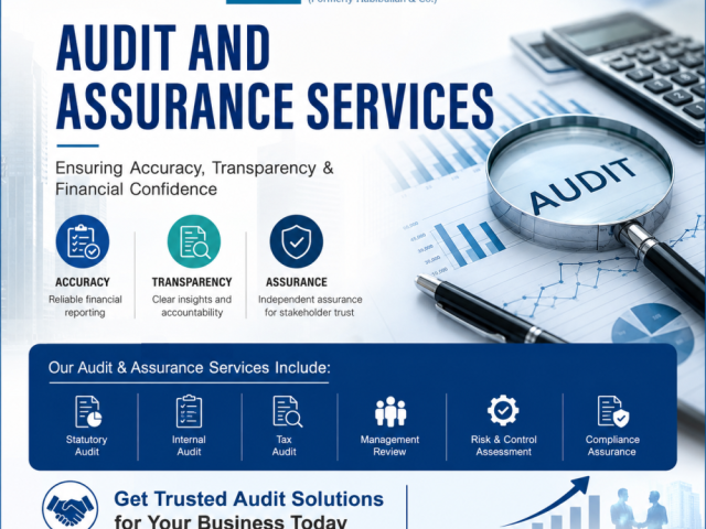 want-audit-and-assurance-services-for-financial-accuracy