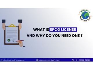 epcg-license-explained-for-importers-exim-advisory-small-0