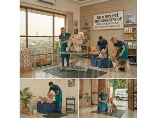 pet-grooming-service-at-home-in-nagpur-small-0