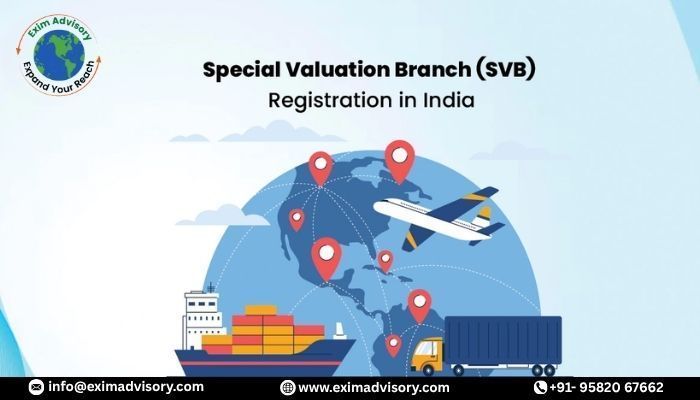 svb-registration-customs-valuation-process-exim-advisory-big-0