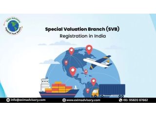 svb-registration-customs-valuation-process-exim-advisory-small-0