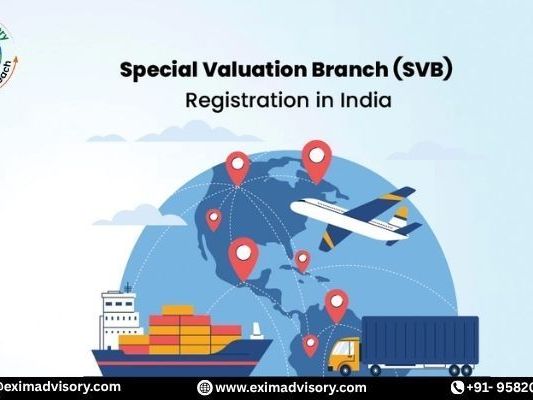 svb-registration-customs-valuation-process-exim-advisory