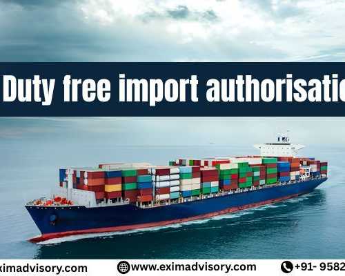 best-duty-free-import-authorisation-exim-advisory
