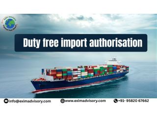 best-duty-free-import-authorisation-exim-advisory-small-0