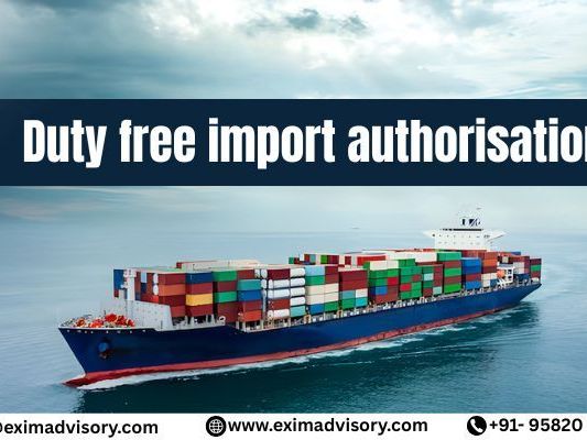 best-duty-free-import-authorisation-exim-advisory