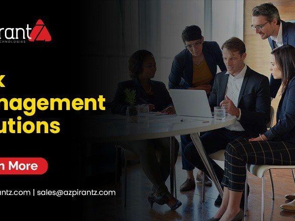 professional-risk-management-services