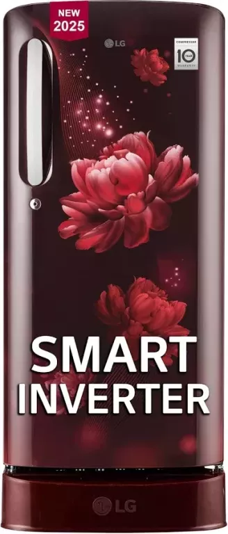 buy-lg-5-star-fridge-for-maximum-energy-savings-big-0