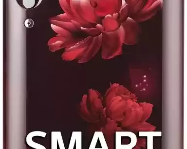 buy-lg-5-star-fridge-for-maximum-energy-savings
