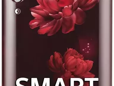 buy-lg-5-star-fridge-for-maximum-energy-savings