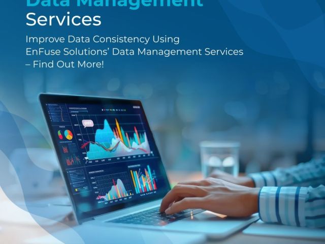 improve-data-consistency-by-expert-data-management-services