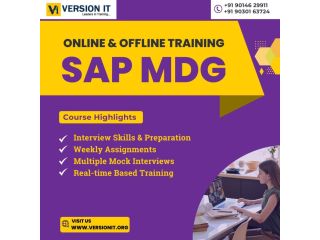 best-sap-mdg-training-institute-in-hyderabad-small-1